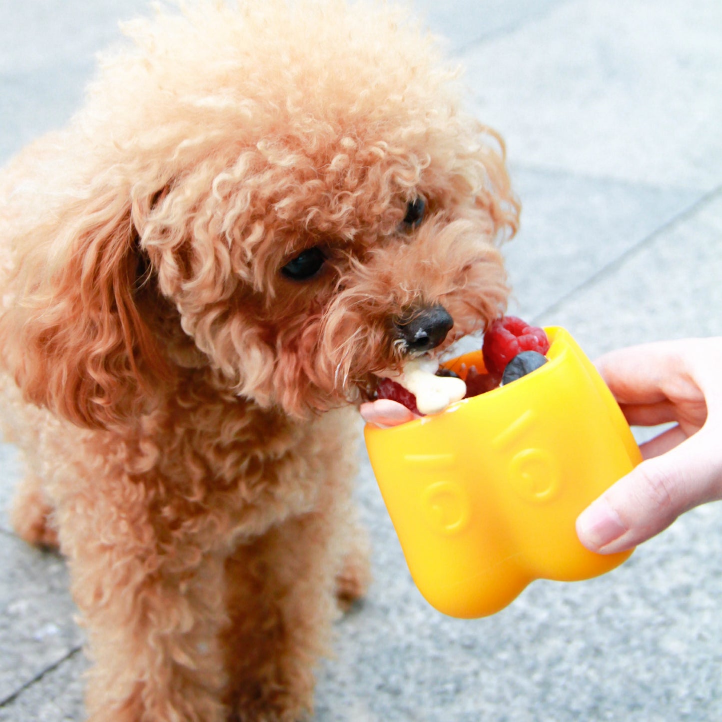 'Bell Pepper' Enrichment Bowl